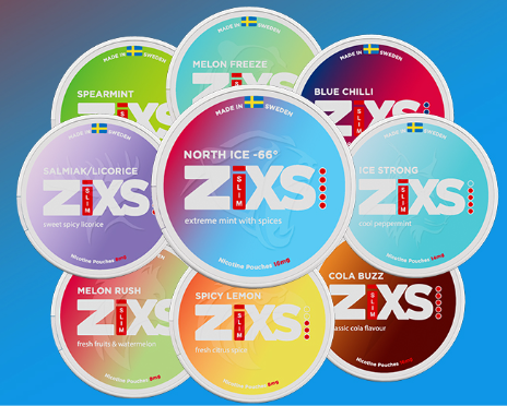 ZIXS
