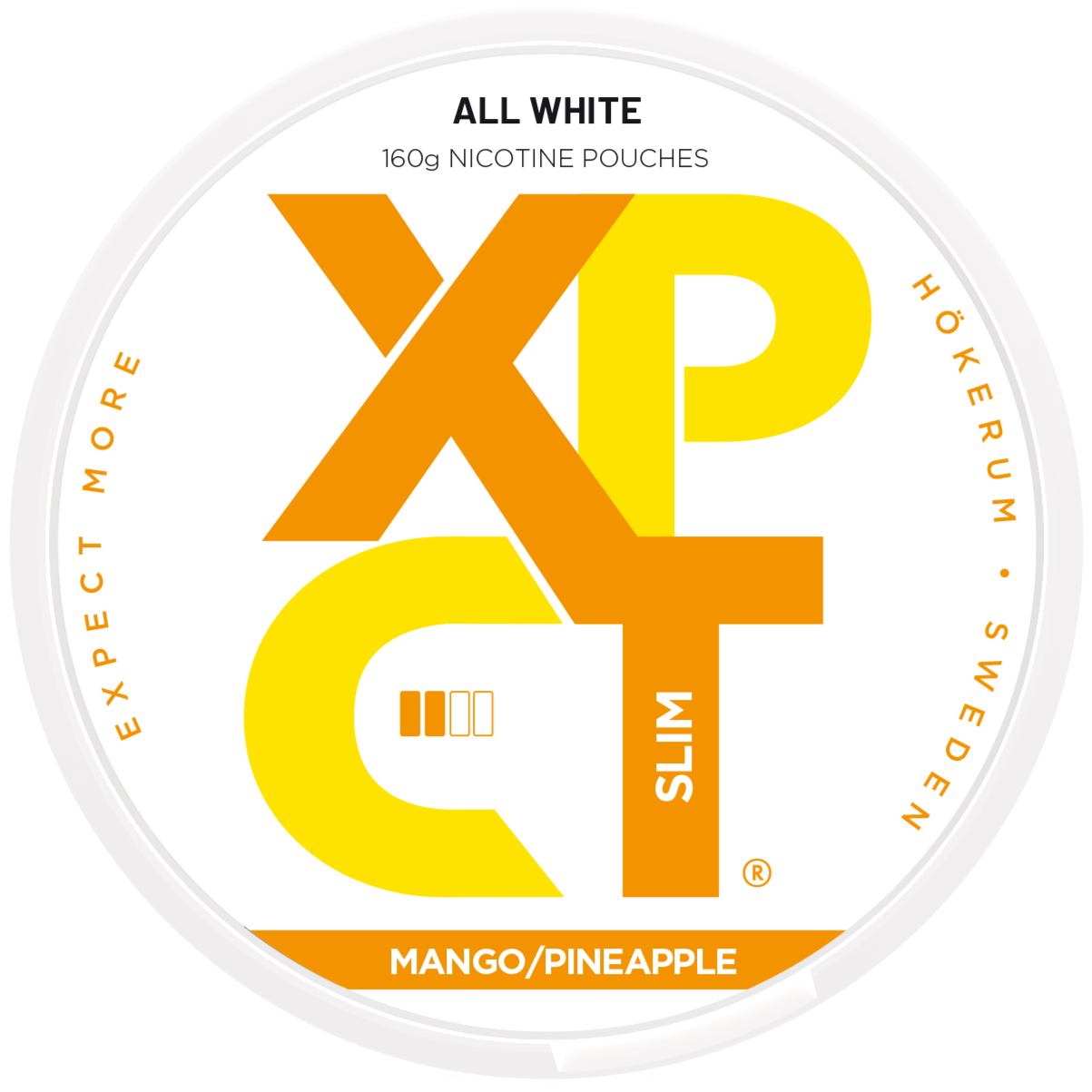 XPCT Mango Pineapple Mega Can