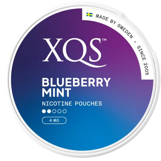 XQS Blueberry Mint Strong